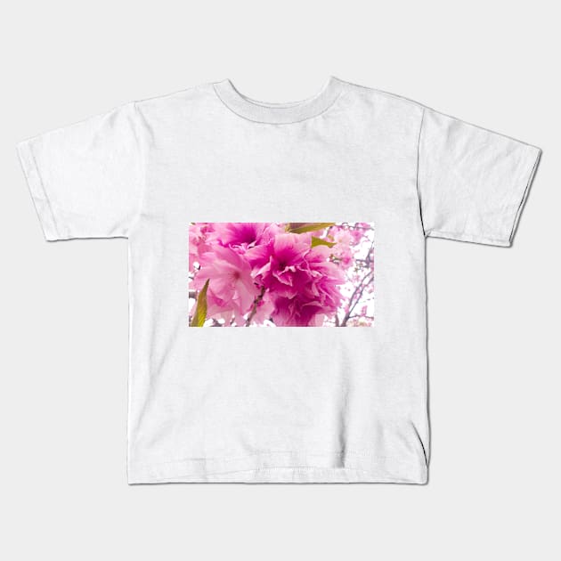 Photography - plum blossom Kids T-Shirt by Karoのkyuuto